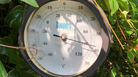 This thermometer in a garden in Cardiff suggests temperatures are near to to 40C