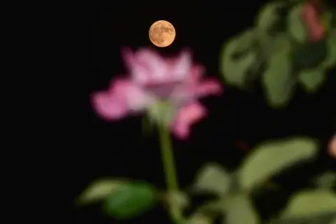 Saqib Majeed/Getty Images he super Blue Moon rises in Srinagar, the summer capital of Jammu and Kashmir