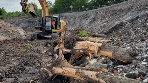 Environment Agency Trees removed to make way for the new channel