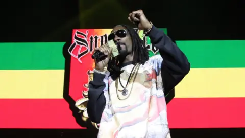 Getty Images Snoop Lion on stage