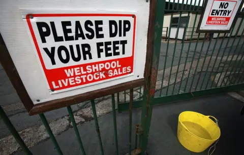 Getty Images signs warning people to disinfect