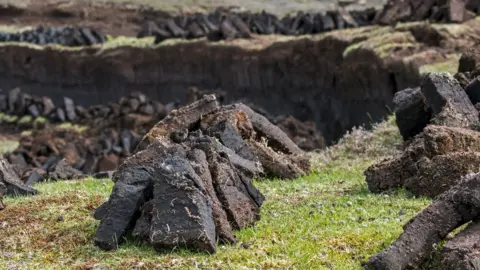 Getty Images Peat bog, Shetland