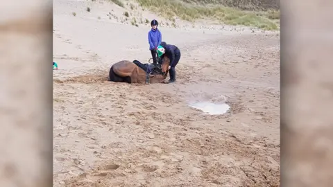 Claire Healy Horse stuck in sand