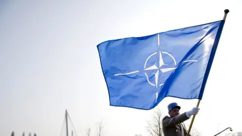 Getty Images A Nato flag at the organisation's summit in 2009