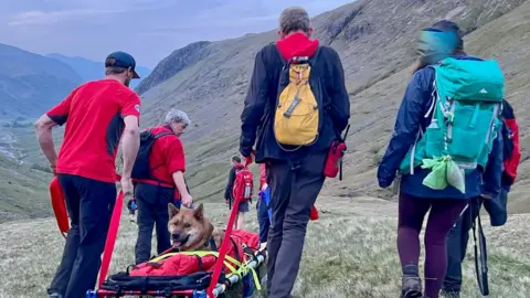 Keswick Mountain Rescue Team Dog being carried