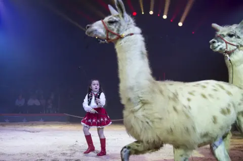 MELANIE DUCHENE/ EPA Swiss artist Chanel Marie Knie with her llamas during her performance.