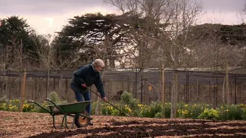 woman raking