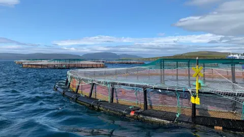 Richard Darbyshire Scottish Sea Farms, 5G