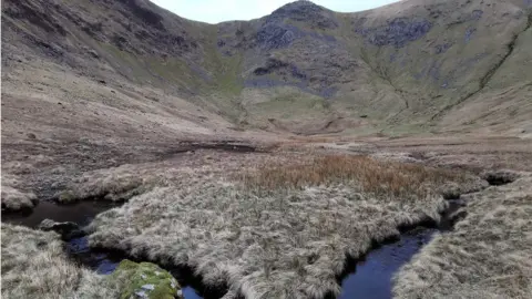 Lee Schofield Sale Pot