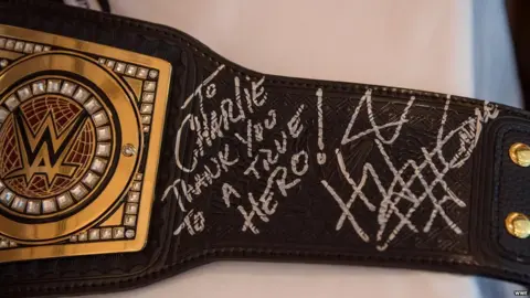 WWE The WWE championship belt