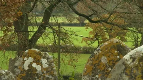 BBC Bramshaw fields