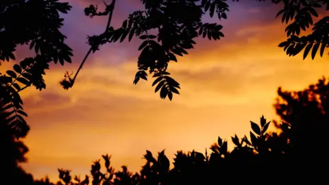 Becca Collacott Abingdon sunset