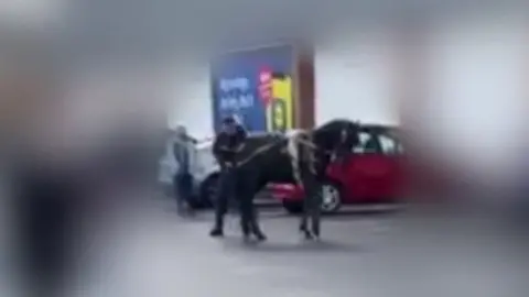 RSPCA handout Man beating pony