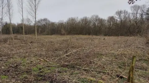 Telford & Wrekin Planning The land
