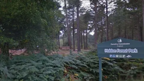 Google Haldon Forest