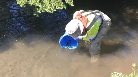 Dave Throup Moving the fish downstream