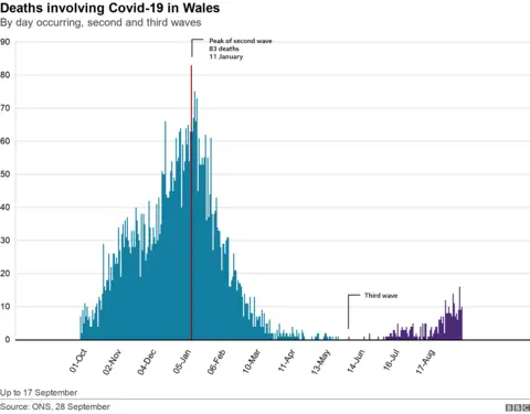 Wales waves