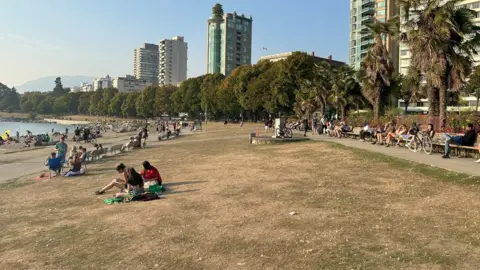 Gerald Narciso A Vancouver park with brown grass