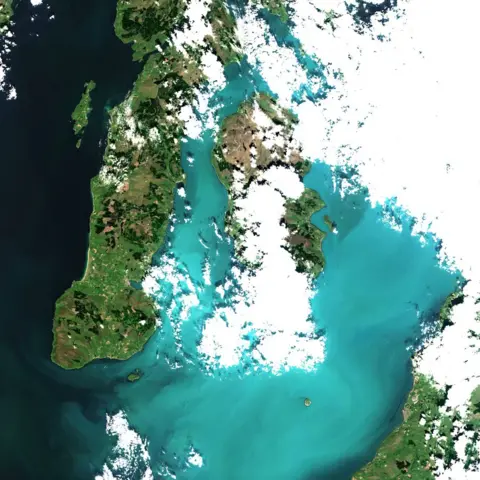 NEODAAS More on the turquoise algal bloom in the Clyde: my NEODAAS colleagues produced this spectacular 10m resolution image from #Sentinel2, 21 Jun 2021, true colour. Non-toxic chalky coccoliths from an usually-sited Ehux bloom