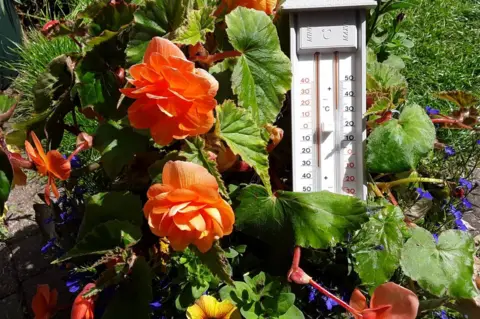 Graphil Garden thermometer in Sutton in Ashfield