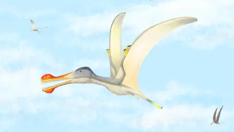 PA Media An illustration of a pterosaur released by scientists at the University of Portsmouth in the UK on Saturday 28 March 2020