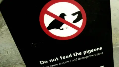 Graeme Robertson/Getty Images Sign asking people not to feed pigeons