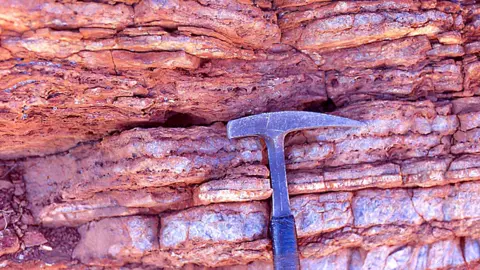 Frances Westall / CNRS Orléans Stromatolites