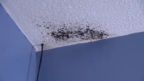 Mould on the ceiling of the woman's home in Ballymena