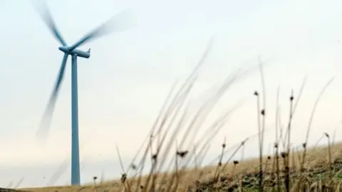 Getty Images Whitelee wind farm