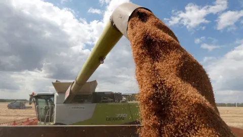 Reuters A combine harvester loads a truck with wheat in a field near the village of Hrebeni in Kyiv region, Ukraine July 17, 2020.