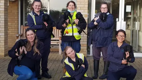 RSPCA Puppies with RSPCA staff