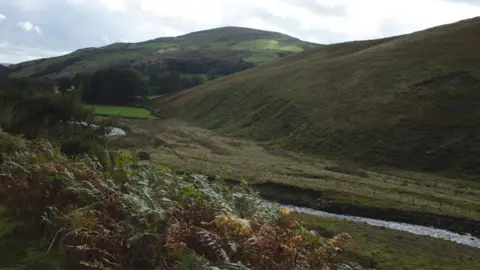 Bob Harvey/Geograph Hillsides in the Trough of Bowland with the fields next to the Langden brook 