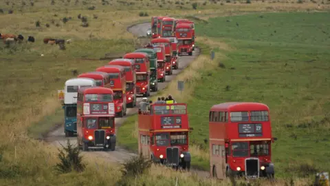 A long row of more than 15 vintage Routemaster buses drive along an unmarked road with grass on either side. Cattle can be seen to one side