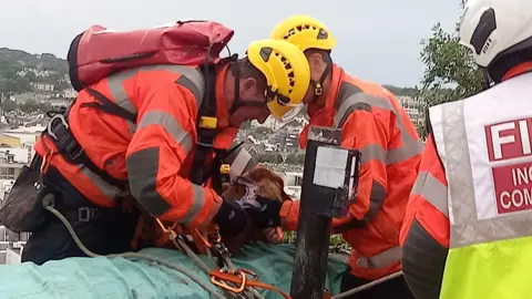 Two firefighters in orange high-vis coats rescue a cockerpoo from a cliff in Jersey. The have made it back to the top of the cliff. The dog is secured in a harness.