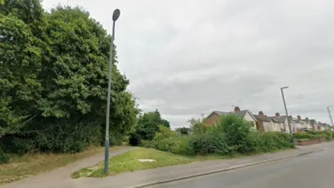 A path behind a set of houses on a road with a lamp post at the front of the image