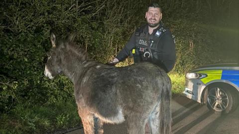 A police officer poses with the stray donkey on a rural road. It is dark and they are pictured in front of a police car, with its lights on