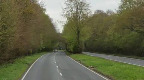 Google Street View of the tree-lined A31 at Alresford