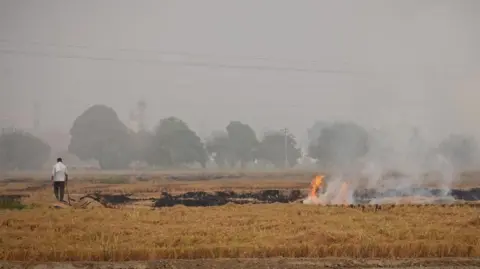 Reuters A farmer walks next to burning stubble in a rice field at a village in Karnal, Haryana 