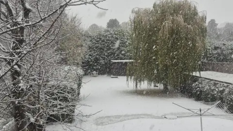 A wintery scene. Snow covers lawn and trees in a back garden. Snow can be seen falling.