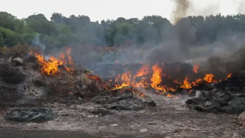Pacemaker A fire and black ash left over from a bonfire. Smoke is rising. It's morning. Trees are in the background. 