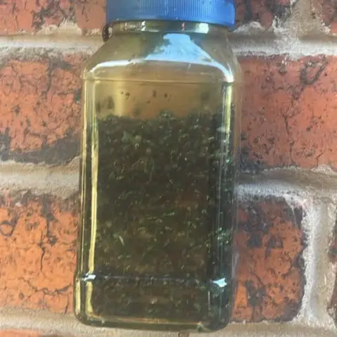 Una botella de moscas colgada en una pared de ladrillos.