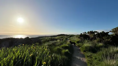 Ali Macleod A coastal path on the Isle of Arran. Green bushes and plants line the side of the path and the sea is in the background. The sky is clear and the sun is reflected on the water. A black dog blends into the path.