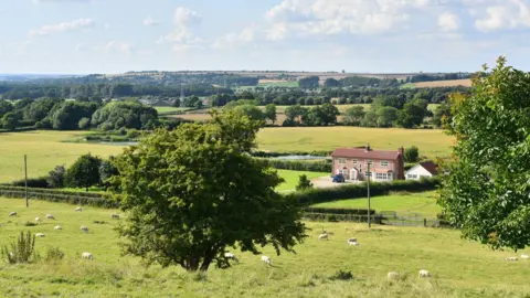 Visit Lincolnshire Sunny and rolling hills with trees, sheep grazing in the fields and a house in the distance.