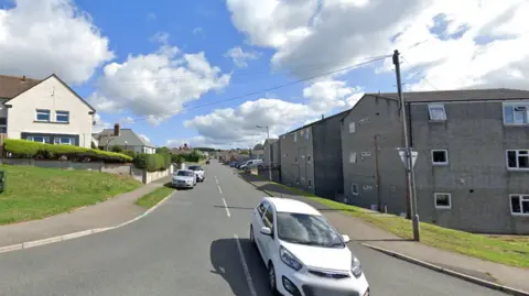 Berries Road with houses on both sides of a road