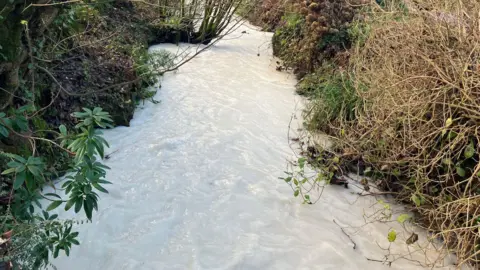 BBC The stream at Coombe is running fast and high and the water is milky white in colour and opaque. There are shrubs, trees and grass lining the edges.