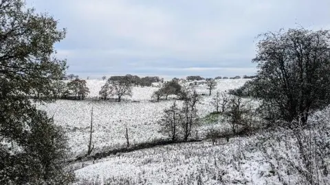 Ray/BBC Weather Watchers Snow-covered fields bordered by leafless trees