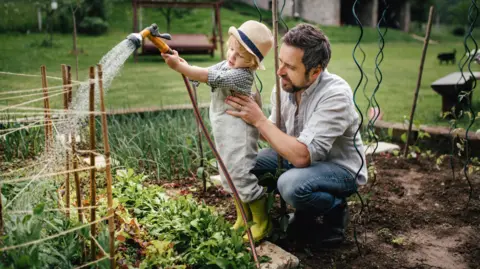 Getty Images Boy helping father in the garden, watering vegetable patch with hose.