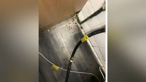 Demi Worboys Rat droppings found behind the cooker at Demi Worboys' temporary accommodation in Chatham, Kent. Droppings can be seen on the floor.