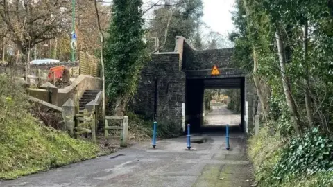 A narrow country road leading through a narrow tunnel which has blue poles in front it.