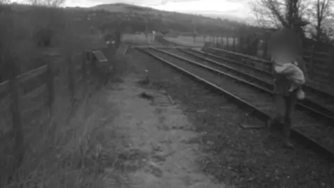 Network Rail A black and white CCTV image show the railway line and a person carrying their dog along the tracks.